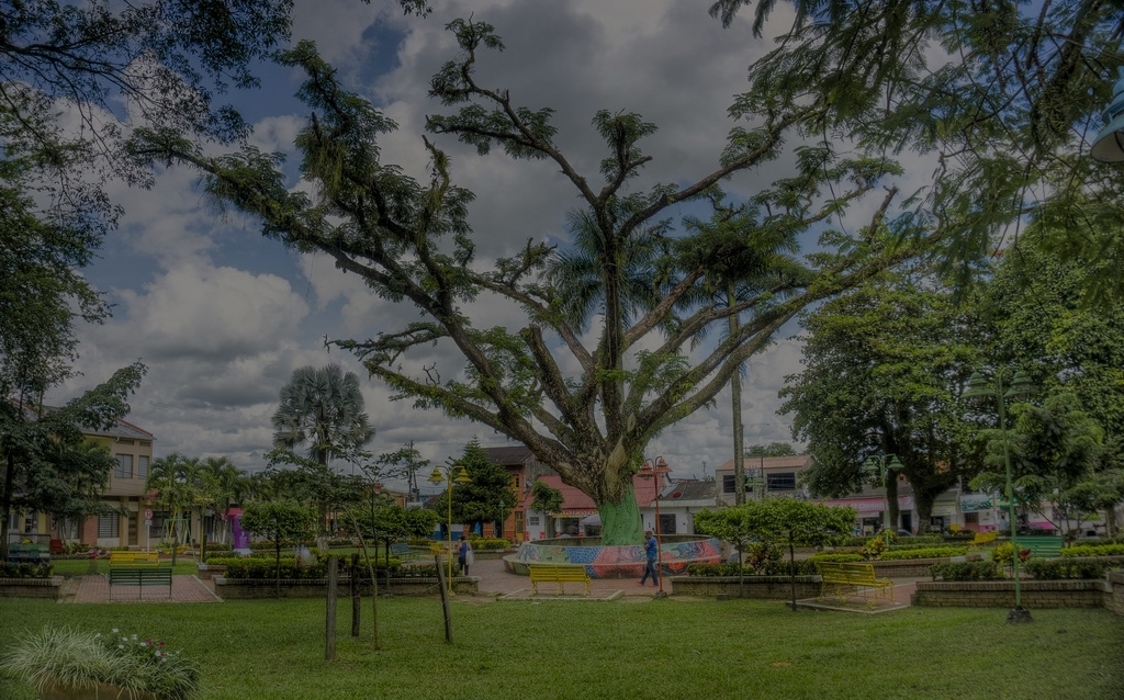 Parque y entorno urbano de los municipios atendidos